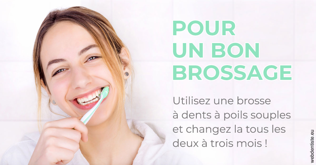 https://selarl-dr-fauquet-roure-coralie.chirurgiens-dentistes.fr/Pour un bon brossage 2