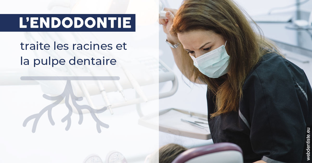 https://selarl-dr-fauquet-roure-coralie.chirurgiens-dentistes.fr/L'endodontie 1