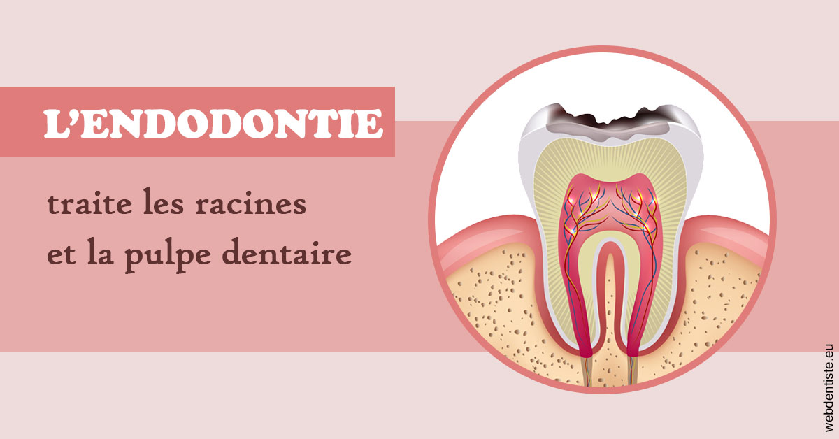 https://selarl-dr-fauquet-roure-coralie.chirurgiens-dentistes.fr/L'endodontie 2