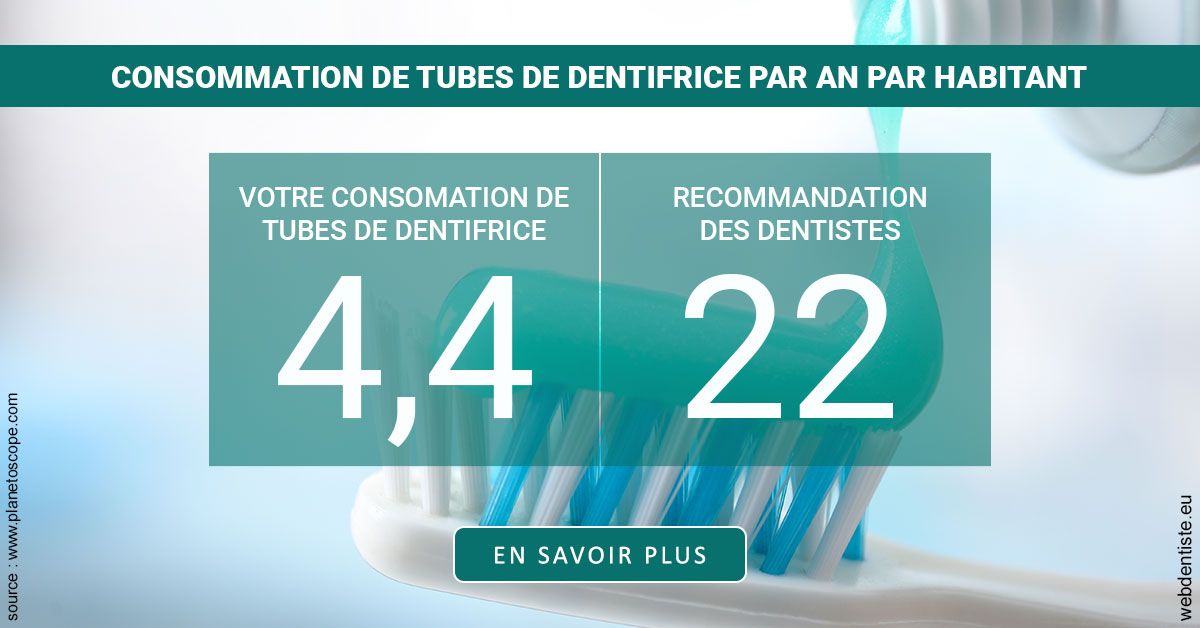https://selarl-dr-fauquet-roure-coralie.chirurgiens-dentistes.fr/22 tubes/an 2