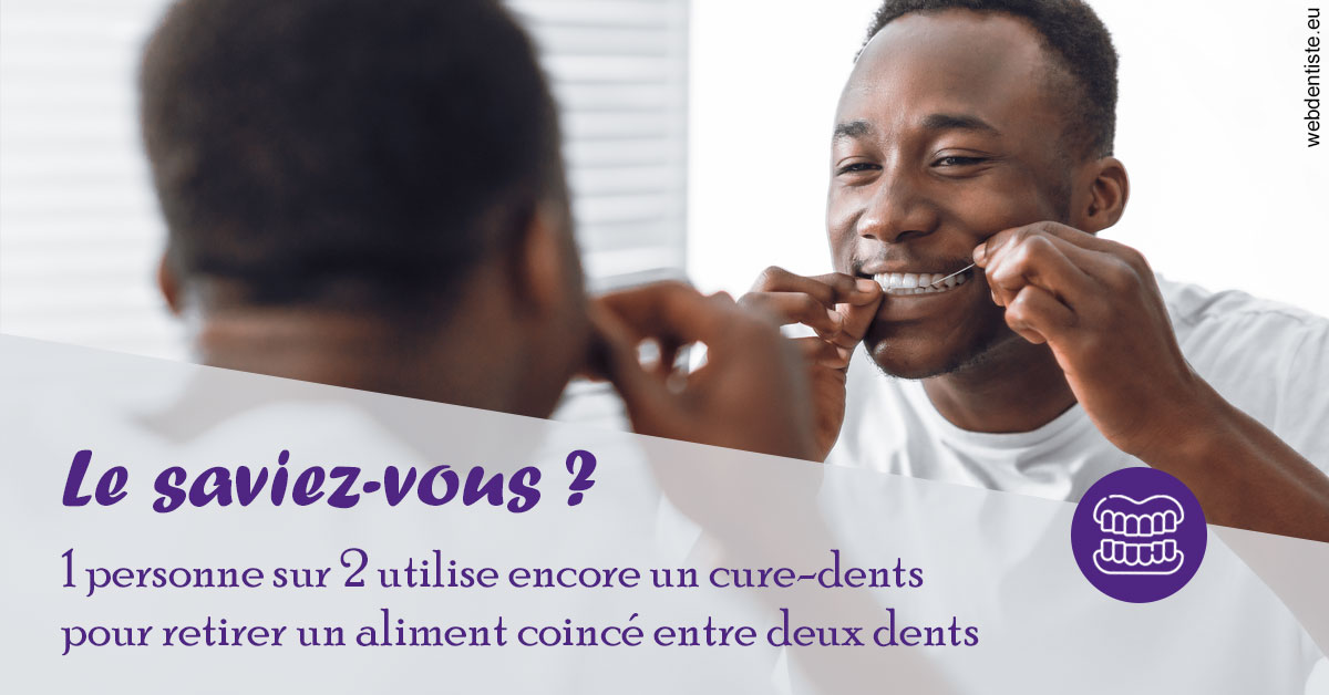 https://selarl-dr-fauquet-roure-coralie.chirurgiens-dentistes.fr/Cure-dents 2