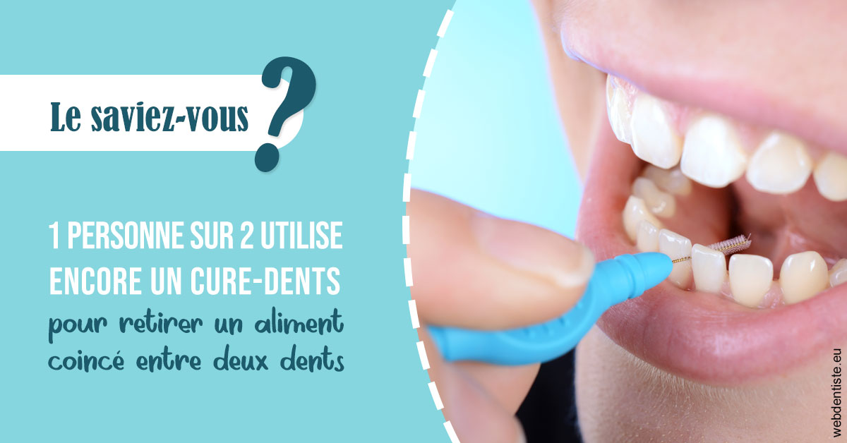 https://selarl-dr-fauquet-roure-coralie.chirurgiens-dentistes.fr/Cure-dents 1